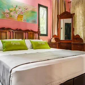 Ayenda Habana Vieja 1221 Hotel Medellin